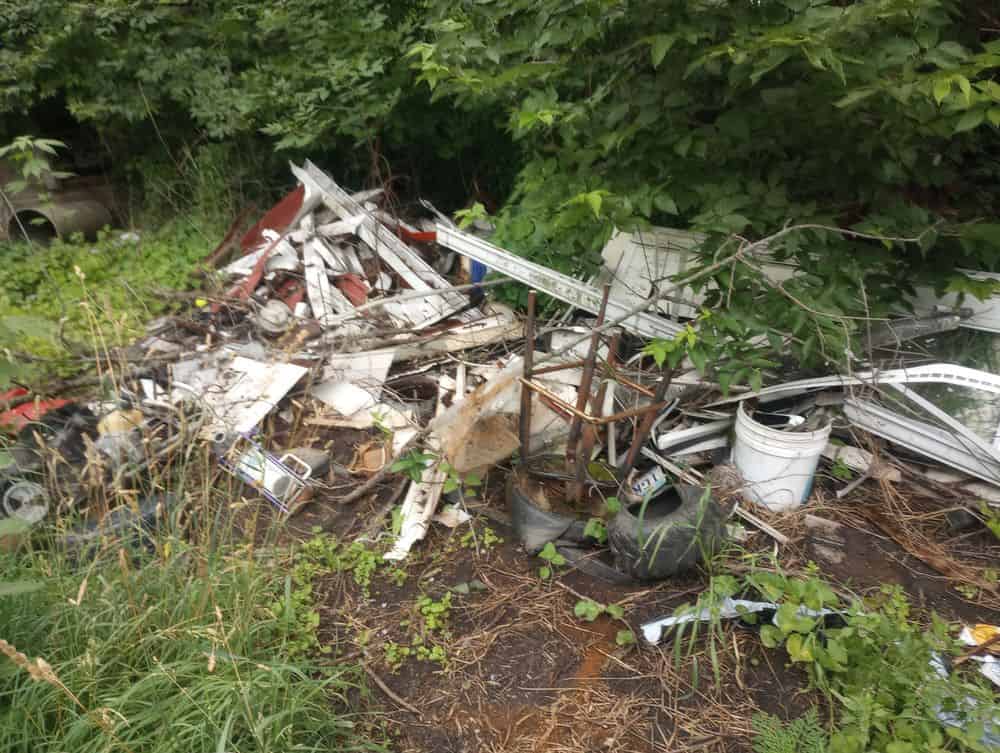 Yard Cleanup image